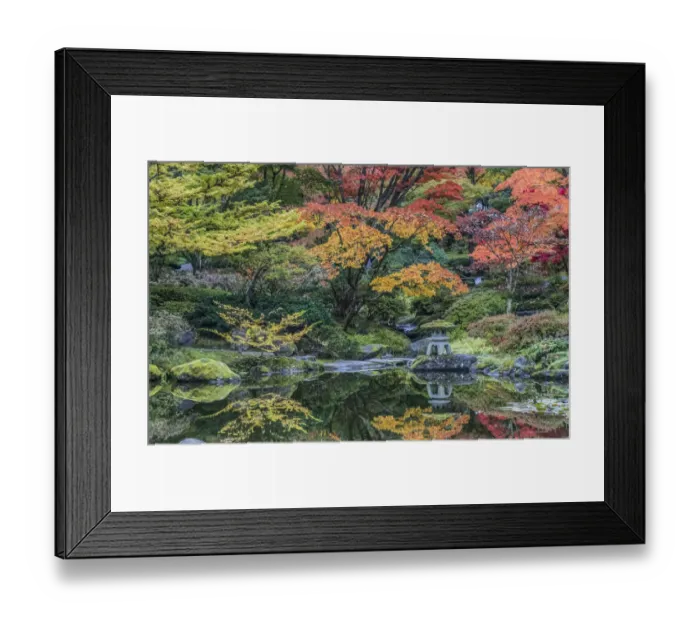 Framed Print : Washington State, Seattle. Autumn color, Japanese Garden Framed Print : Washington State, Seattle. Autumn color, Japanese Garden