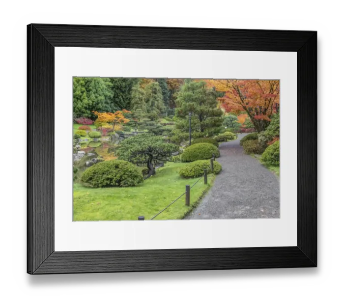 Framed Print : Washington State, Seattle. Autumn color, Japanese Garden Framed Print : Washington State, Seattle. Autumn color, Japanese Garden