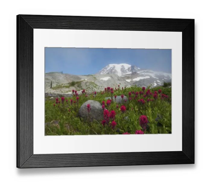 Framed Print : Mount Rainier, lavender paintbrush