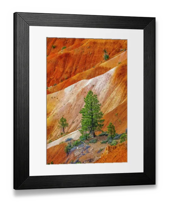 Framed Print : Colorful Bryce Point, Bryce Canyon National Park, Utah Framed Print : Colorful Bryce Point, Bryce Canyon National Park, Utah