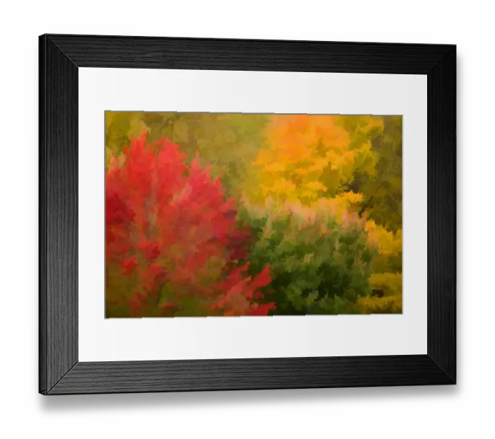 Framed Print : USA, Vermont. Abstract of autumn trees and foliage Framed Print : USA, Vermont. Abstract of autumn trees and foliage