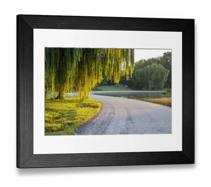 Framed Print : USA, District of Columbia, Washington. sunrise on the National Mall