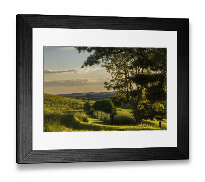 Framed Print : Pathway along fence in evening light, Palouse region of eastern Washington