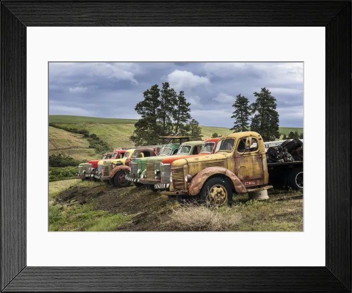 Framed Print : Row of colorful old trucks, Palouse region of eastern Washington
