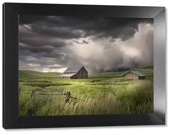 Two old wooden barns and storm clouds, Palouse region of eastern Washington