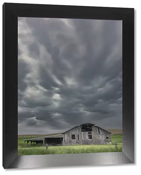 Dark, storm clouds above old barn, Palouse region of eastern Washington