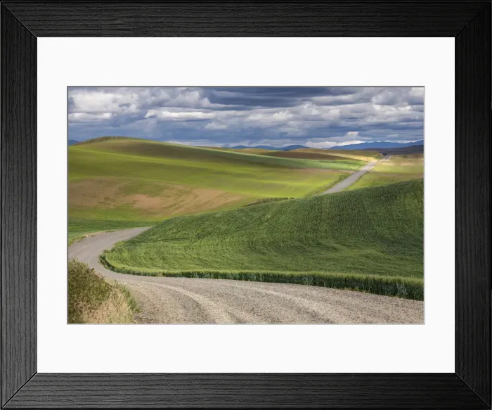 Framed Print : Rural gravel road running across rolling fields of wheat crops Framed Print : Rural gravel road running across rolling fields of wheat crops