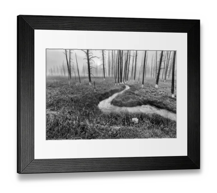 Framed Print : Yellowstone National Park, Wyoming Framed Print : Yellowstone National Park, Wyoming