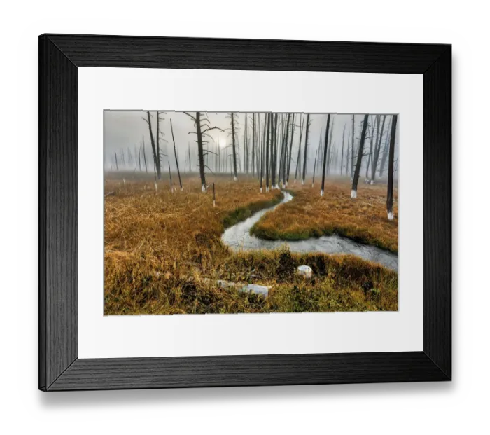 Framed Print : Yellowstone National Park, Wyoming Framed Print : Yellowstone National Park, Wyoming