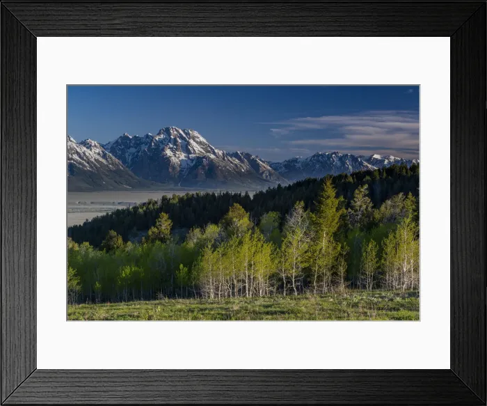 Framed Print : Grand Teton National Park, Mount Moran and Aspen trees, Wyoming Framed Print : Grand Teton National Park, Mount Moran and Aspen trees, Wyoming