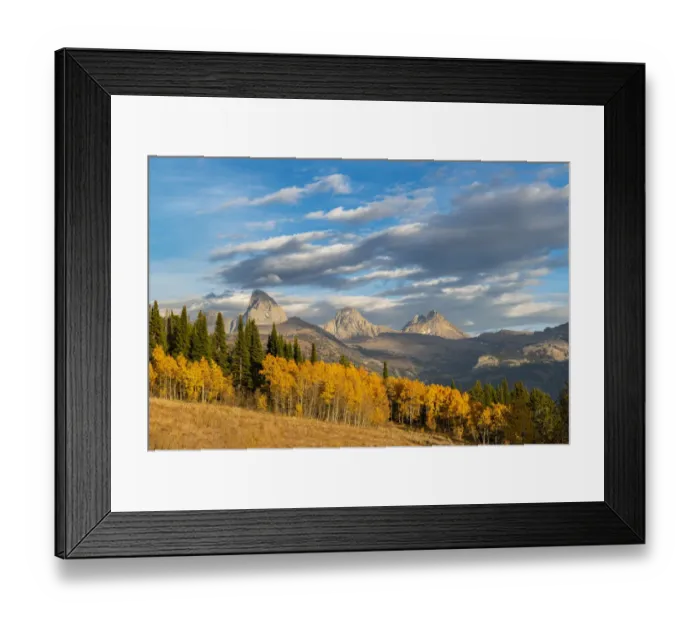 Framed Print : Landscape of Mt. Owen, Grand Teton, Middle and South Teton, golden fall foliage Framed Print : Landscape of Mt. Owen, Grand Teton, Middle and South Teton, golden fall foliage