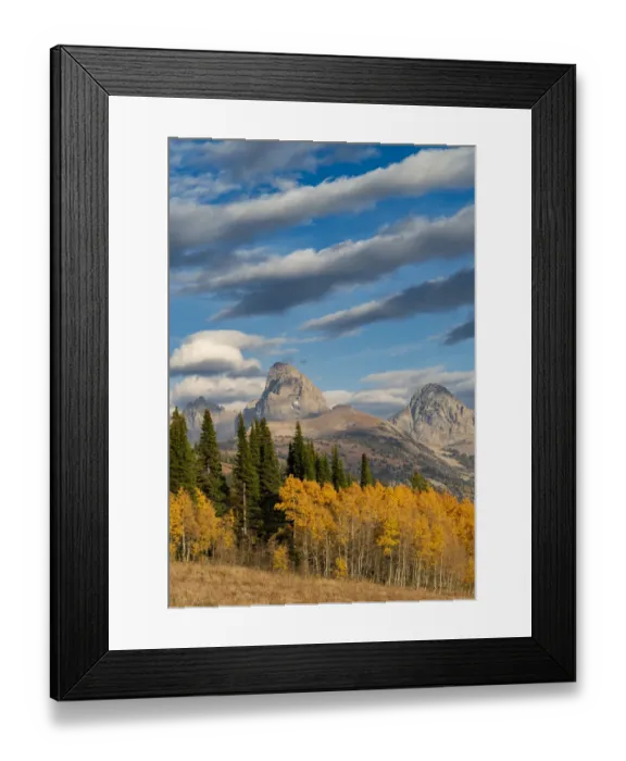 Framed Print : Streaky cirrus and cumulus clouds complement Golden Aspens with Grand Framed Print : Streaky cirrus and cumulus clouds complement Golden Aspens with Grand