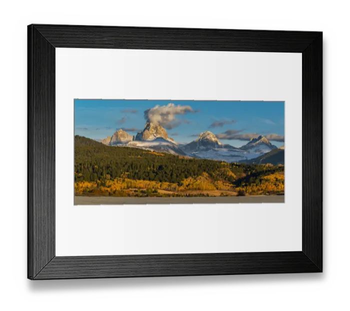 Framed Print : Usa, Wyoming. Panorama of Golden aspen trees, fall foliage near Jackson Framed Print : Usa, Wyoming. Panorama of Golden aspen trees, fall foliage near Jackson