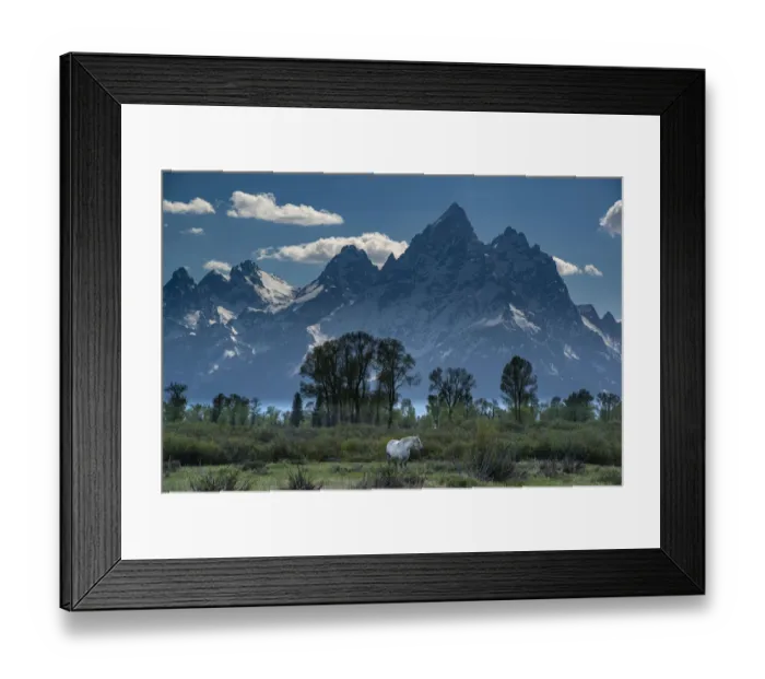 Framed Print : Grand Teton National Park, horse grazes in meadow below Grand Teton, Wyoming