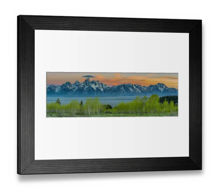 Framed Print : Grand Teton National Park, panoramic of Grand Teton, Moran, and Aspen trees at Sunrise