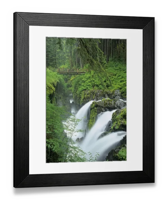 Framed Print : Washington State, Olympic National Park, Sol Duc Falls with bridge over Sol Duc River Framed Print : Washington State, Olympic National Park, Sol Duc Falls with bridge over Sol Duc River
