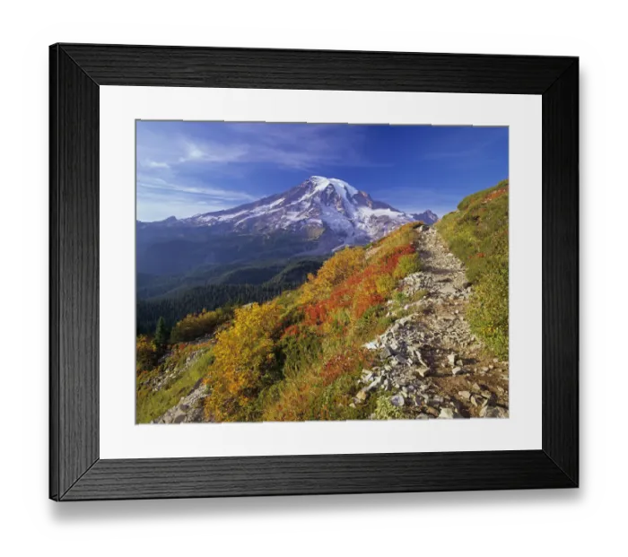 Framed Print : Washington State, Mount Rainier National Park, view along Pinnacle Saddle trail