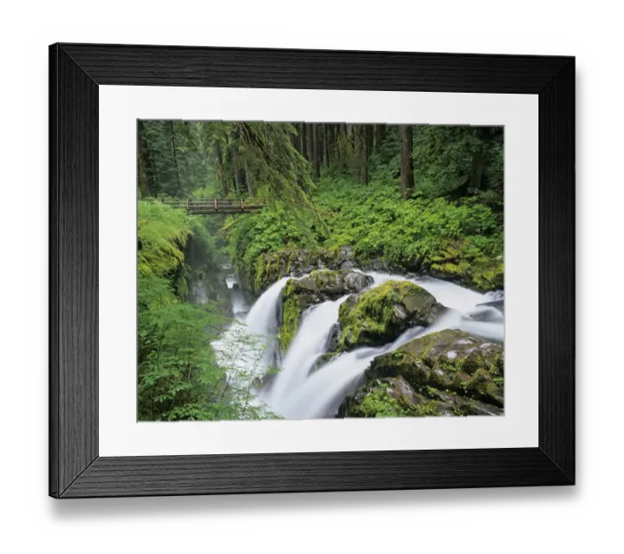 Framed Print : Washington State, Olympic National Park, Sol Duc Falls with bridge over Sol Duc River Framed Print : Washington State, Olympic National Park, Sol Duc Falls with bridge over Sol Duc River
