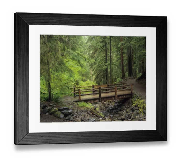 Framed Print : Washington State, Olympic National Park, Sol Duc Valley Framed Print : Washington State, Olympic National Park, Sol Duc Valley