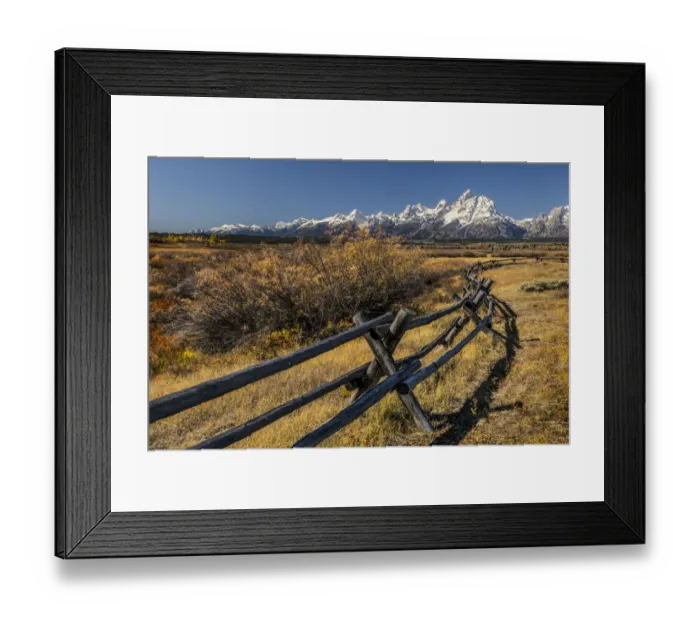 Framed Print : Autumn willows and rail fence and Teton range, Grand Teton National Park, Wyoming Framed Print : Autumn willows and rail fence and Teton range, Grand Teton National Park, Wyoming