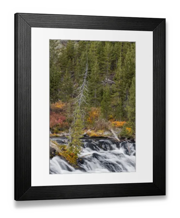 Framed Print : Lewis Falls, Yellowstone National Park, Wyoming