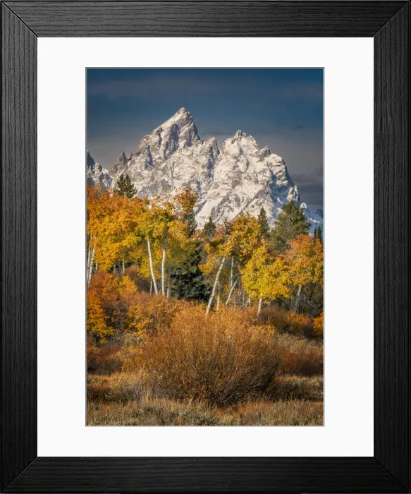 Framed Print : Autumn view of aspens and Teton Range, Grand Teton National Park, Wyoming Framed Print : Autumn view of aspens and Teton Range, Grand Teton National Park, Wyoming