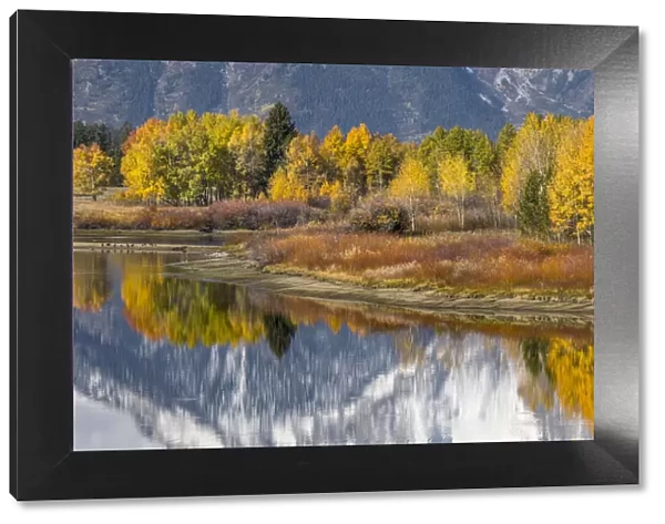 Autumn view of Mt. Morans reflection, Oxbow Bend, Grand Teton National Park, Wyoming
