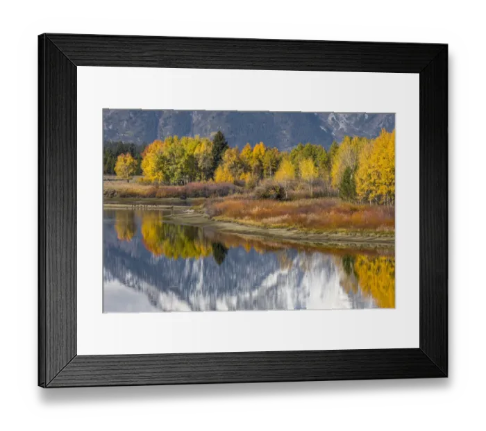 Framed Print : Autumn view of Mt. Morans reflection, Oxbow Bend, Grand Teton National Park, Wyoming