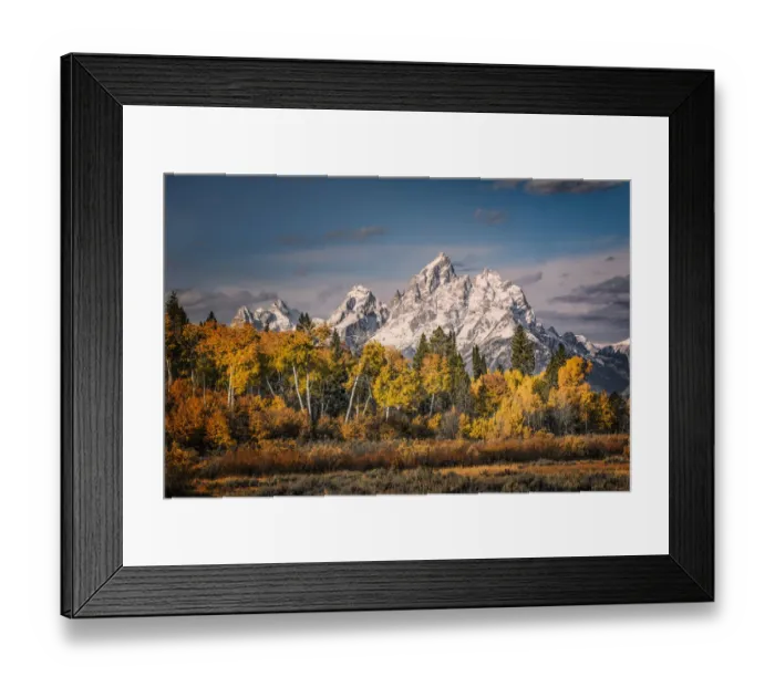 Framed Print : Autumn view of aspens and Teton Range, Grand Teton National Park, Wyoming Framed Print : Autumn view of aspens and Teton Range, Grand Teton National Park, Wyoming