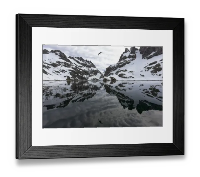Framed Print : Southern Ocean, South Georgia, Larsen Harbor. This is a harbor off the Drygalski Fjord Framed Print : Southern Ocean, South Georgia, Larsen Harbor. This is a harbor off the Drygalski Fjord