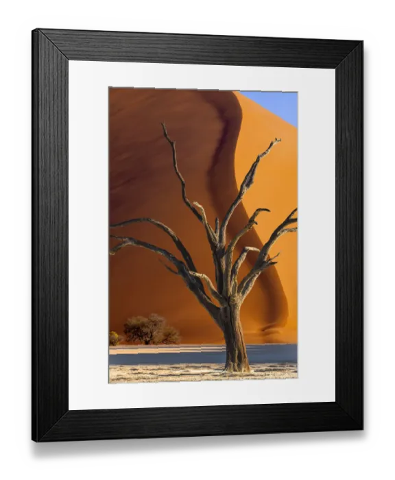 Framed Print : Namibia, Sossusvlei, Namib-Naukluft National Park. Composite of dead tree and sand dune
