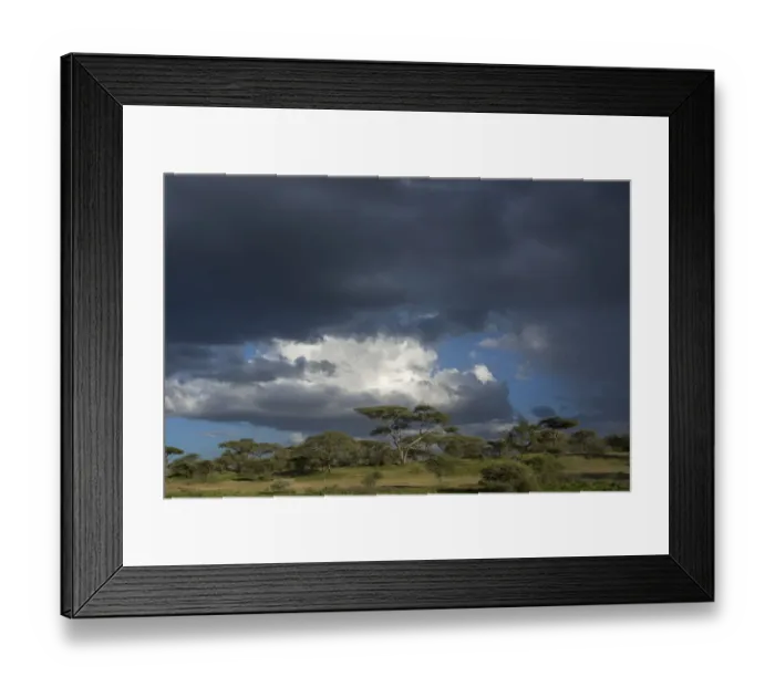 Framed Print : Rainstorm approaching Ndutu, Ngorongoro Conservation Area, Serengeti, Tanzania