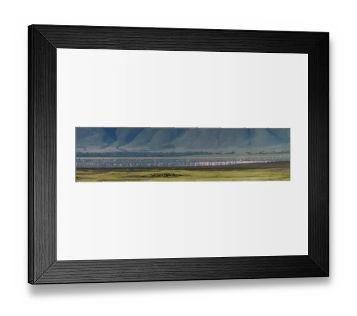 Framed Print : Greater flamingos (Phoenicopterus roseus), Ngorongoro crater Framed Print : Greater flamingos (Phoenicopterus roseus), Ngorongoro crater