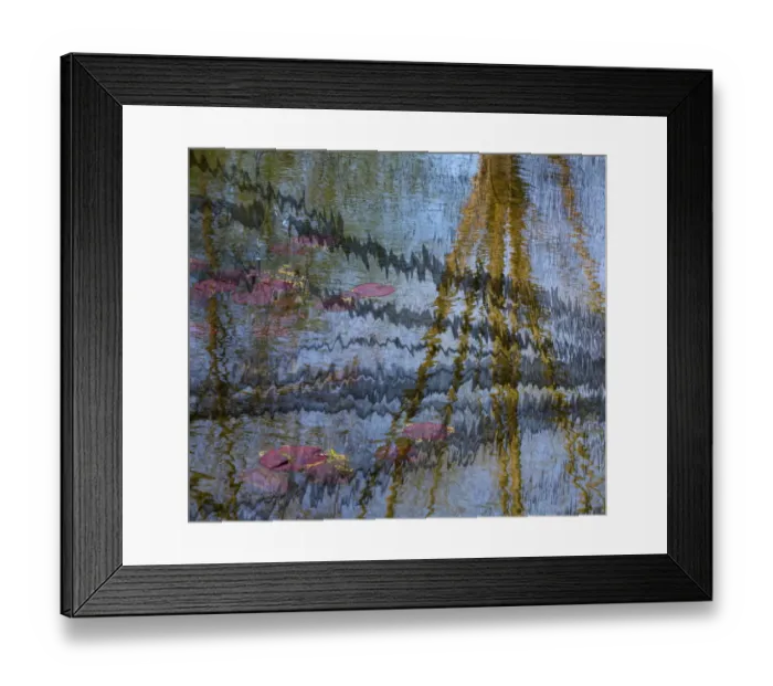 Framed Print : Lily pond reflection abstract Framed Print : Lily pond reflection abstract