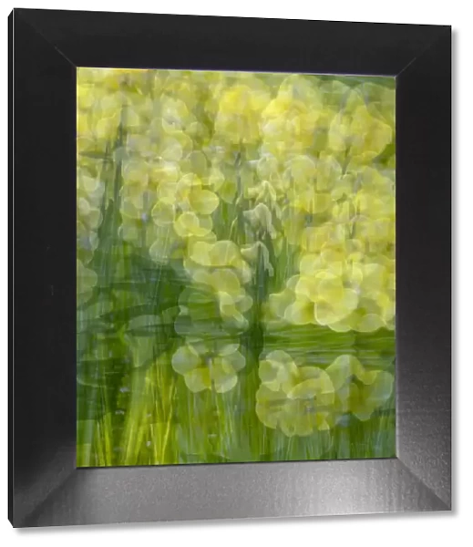 Yellow and green floral abstract