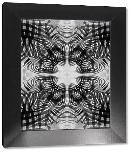 Black and white kaleidoscope abstract of a zebra