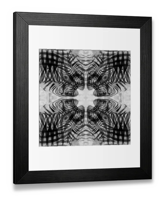 Framed Print : Black and white kaleidoscope abstract of a zebra Framed Print : Black and white kaleidoscope abstract of a zebra