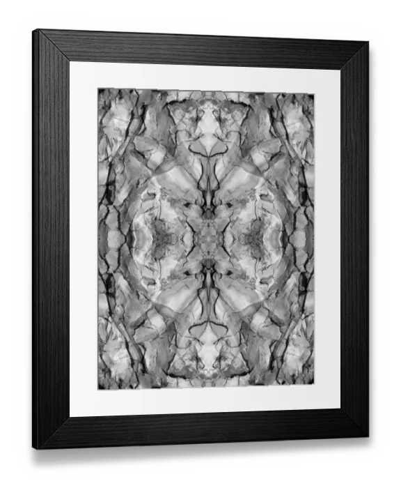 Framed Print : Black and white of quiver tree bark abstract