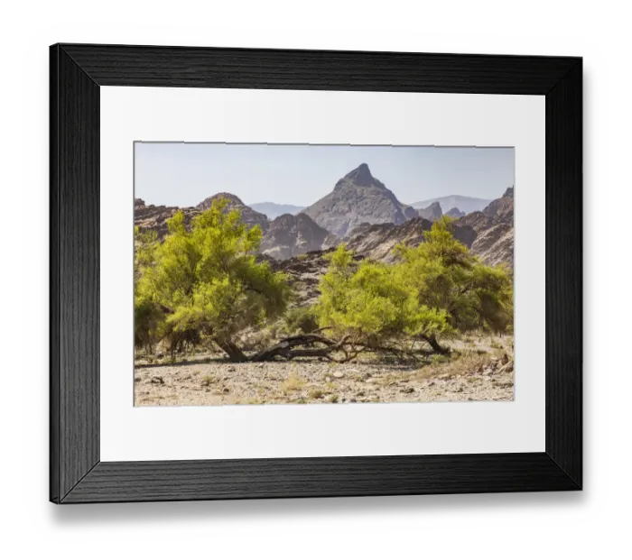 Framed Print : Middle East, Arabian Peninsula, Oman, Al Batinah South, Rustaq Framed Print : Middle East, Arabian Peninsula, Oman, Al Batinah South, Rustaq