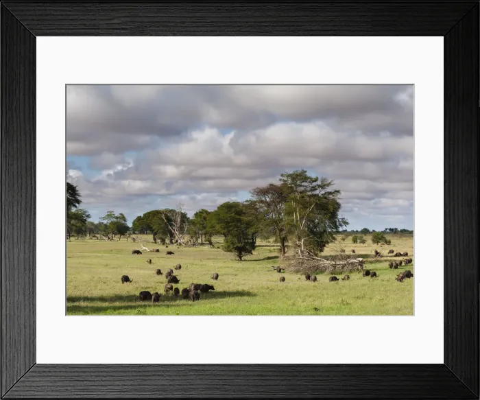 Framed Print : Landscape of the savannah, Tsavo, Kenya