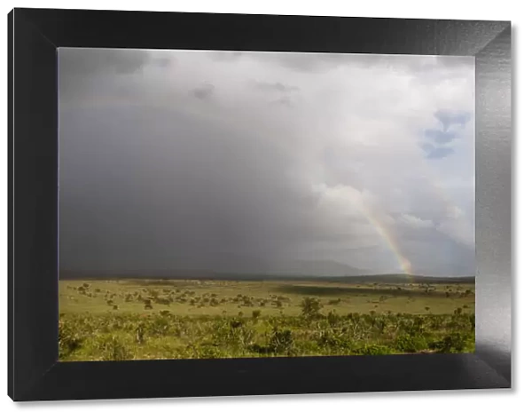 A rainbow over the savannah, Tsavo, Kenya