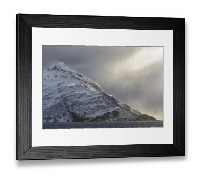 Framed Print : Southern Ocean, South Georgia, Salisbury Plain, Snowy peaks surround Salisbury Plain Framed Print : Southern Ocean, South Georgia, Salisbury Plain, Snowy peaks surround Salisbury Plain