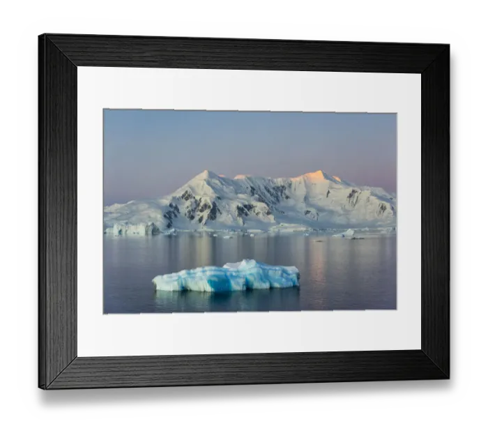 Framed Print : Snow covered island and floating ice in South Atlantic Ocean, Antarctica Framed Print : Snow covered island and floating ice in South Atlantic Ocean, Antarctica