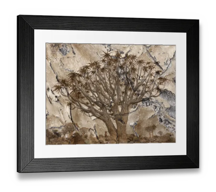 Framed Print : Africa, Namibia. Quiver tree and bark photo montage
