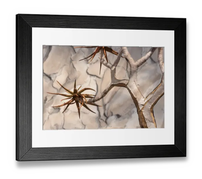 Framed Print : Africa, Namibia. Quiver tree and bark photo montage
