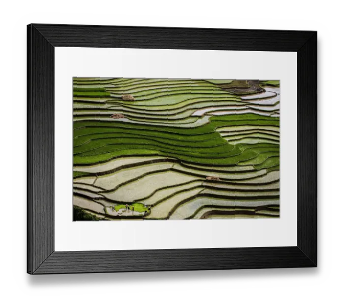 Framed Print : Vietnam. Rice paddies in the highlands of Sapa Framed Print : Vietnam. Rice paddies in the highlands of Sapa