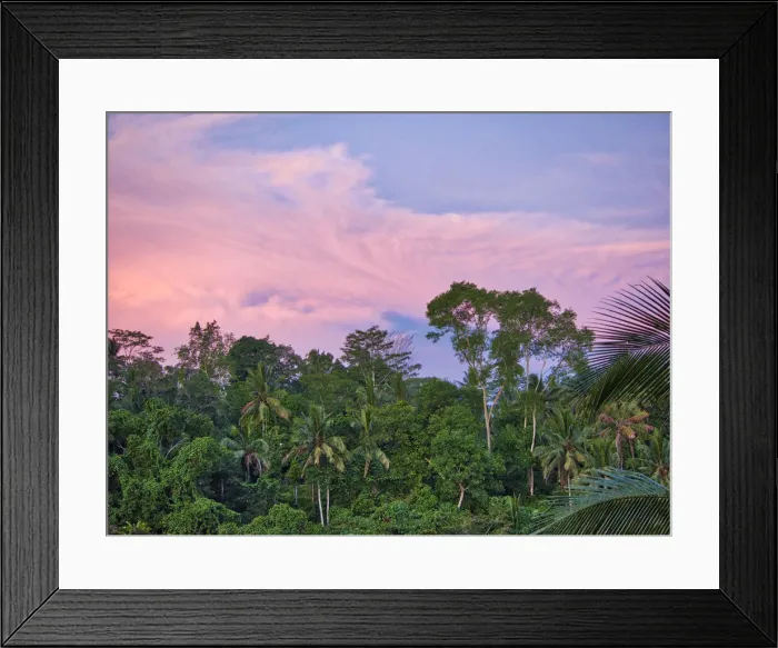 Framed Print : Indonesia, Bali, Ubud. Sunrise in the rainforest Framed Print : Indonesia, Bali, Ubud. Sunrise in the rainforest