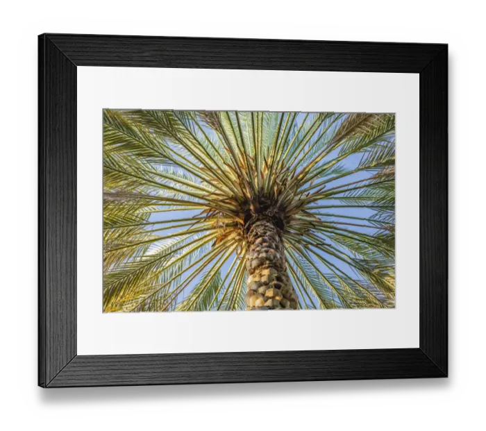 Framed Print : Middle East, Arabian Peninsula, Oman, Ad Dakhiliyah, Nizwa Framed Print : Middle East, Arabian Peninsula, Oman, Ad Dakhiliyah, Nizwa
