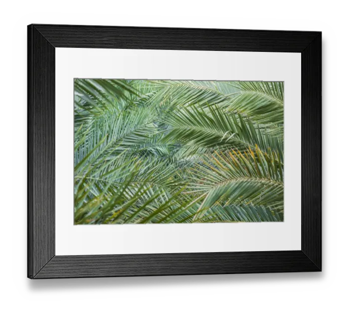 Framed Print : Middle East, Arabian Peninsula, Oman, Ad Dakhiliyah, Nizwa Framed Print : Middle East, Arabian Peninsula, Oman, Ad Dakhiliyah, Nizwa