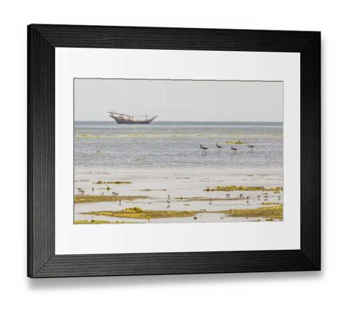 Framed Print : Middle East, Arabian Peninsula, Al Batinah South, Mahout